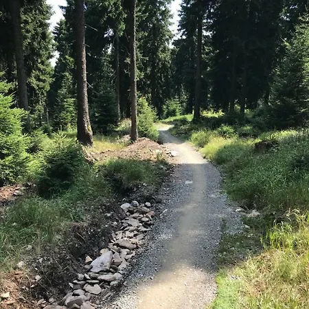 Klínovec - 120-6 Apartamento