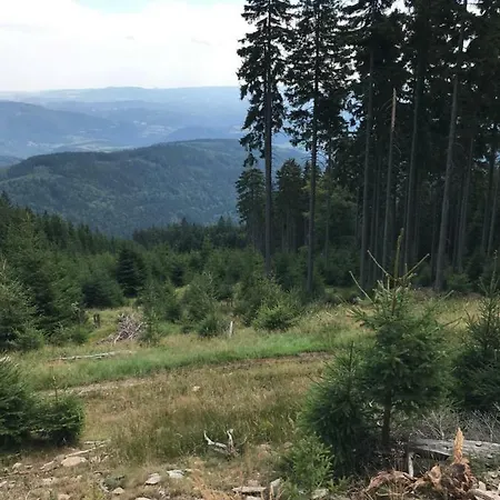 Klinovec - 120-6 公寓 *