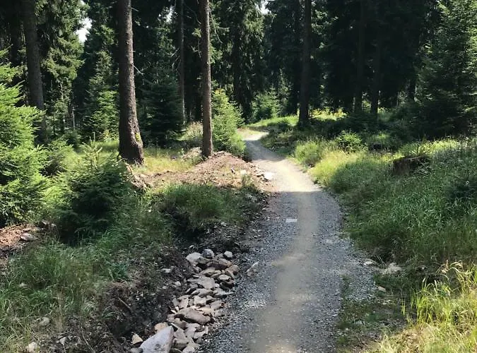 Klinovec - 120-6 Lejlighed