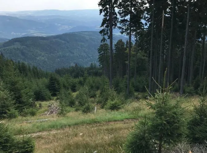 Klínovec - 120-6 Apartmán *